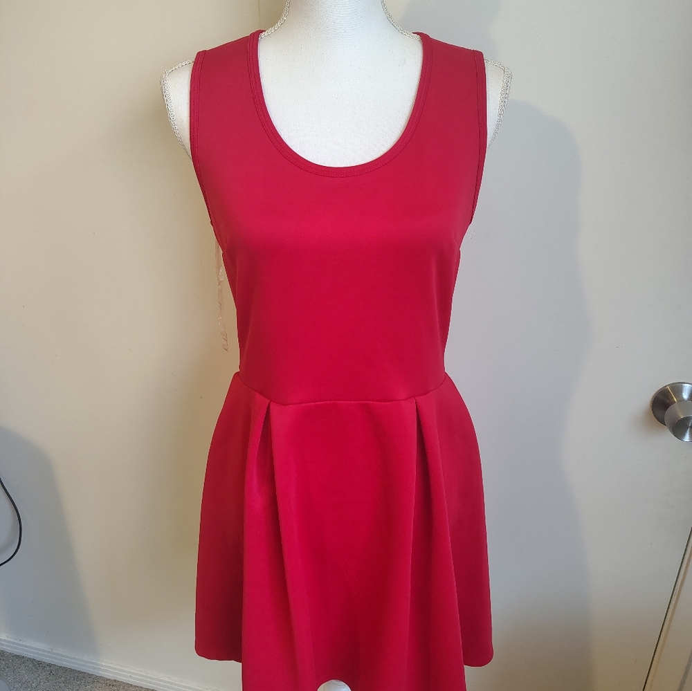 Nicki Minaj Women's Sleeveless Red Dress Medium